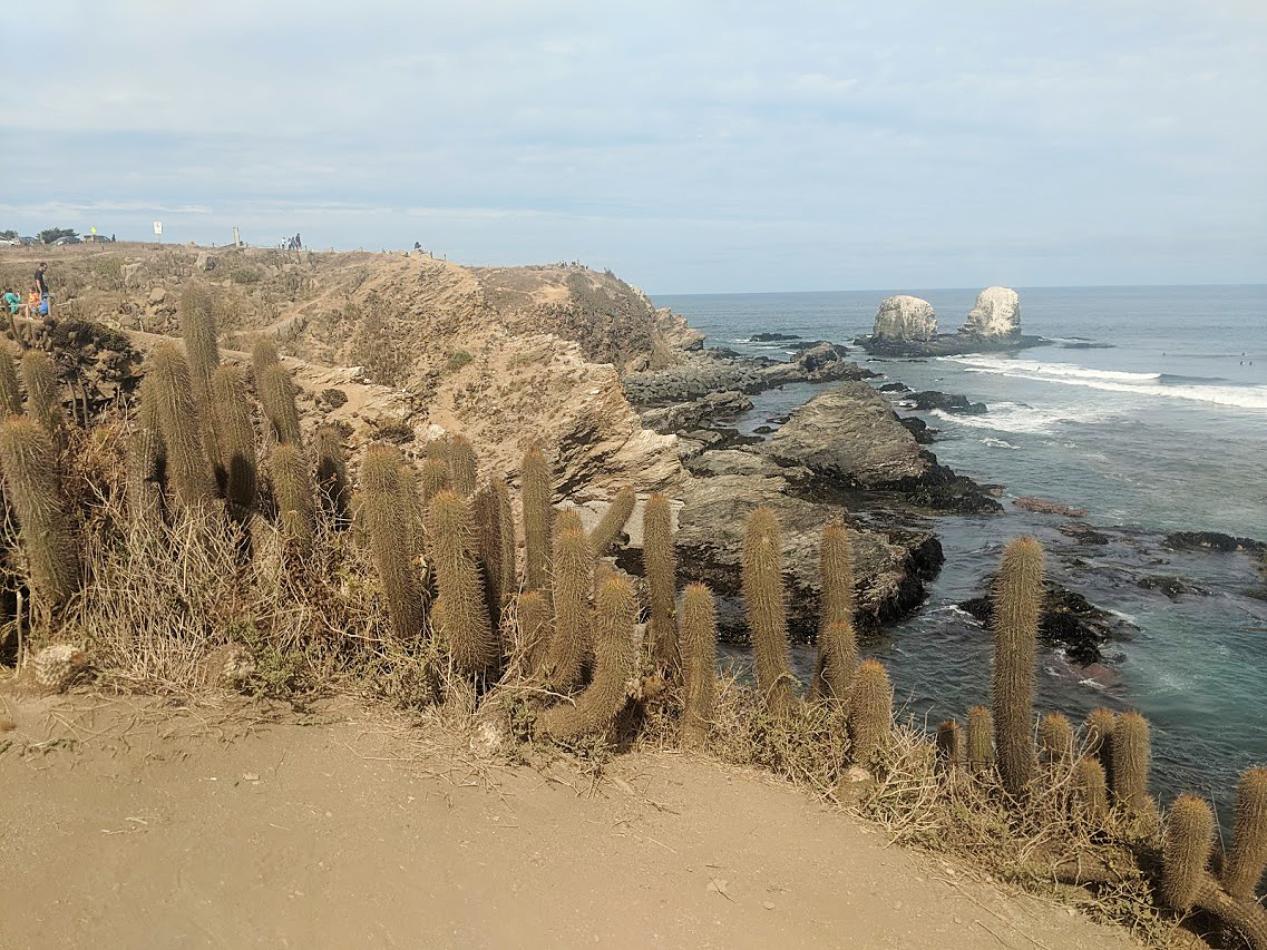 Coast of Chile, ,Punta de Los Lobos